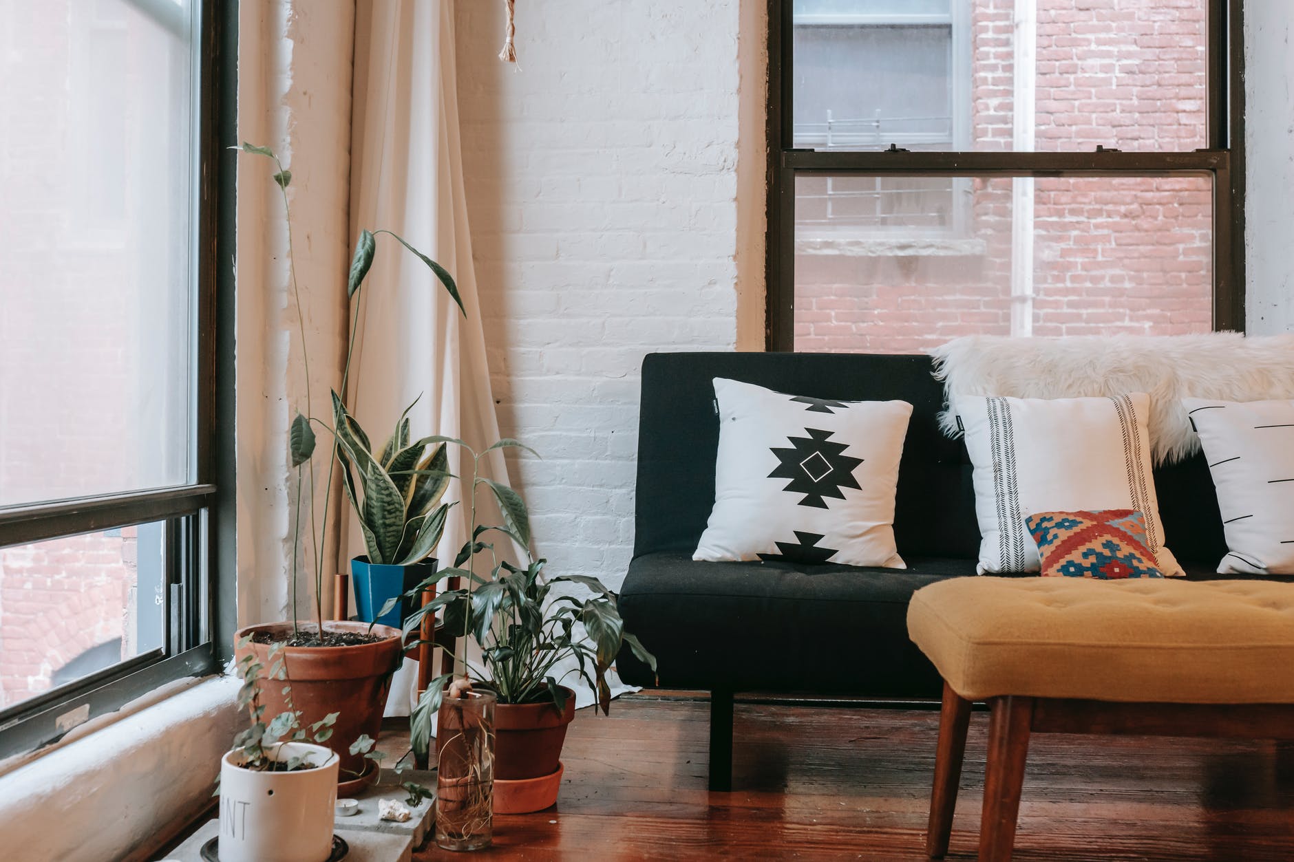 soft couch placed near potted plants