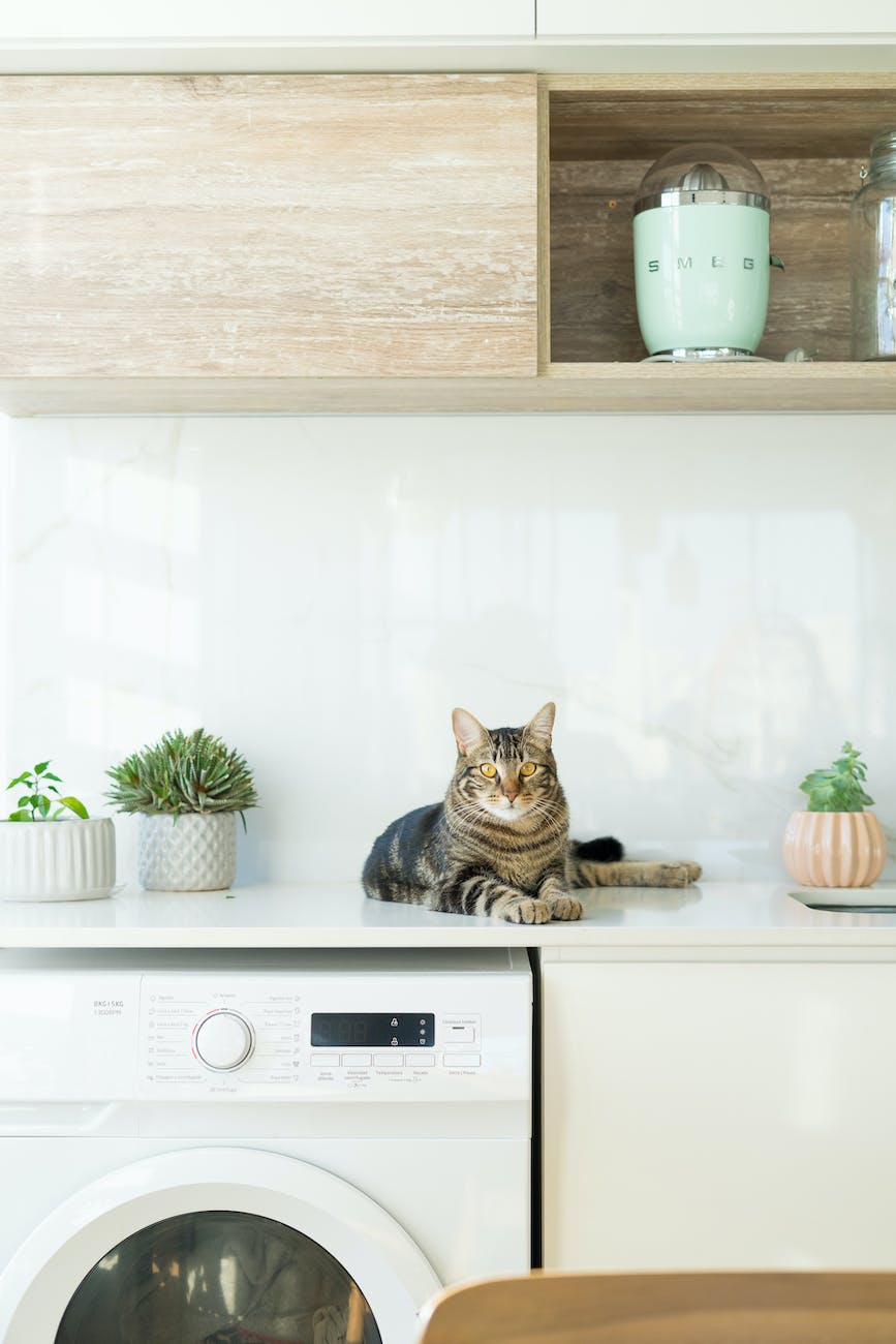 a cabinet next to a flating shelf above washing machine in small laundry room