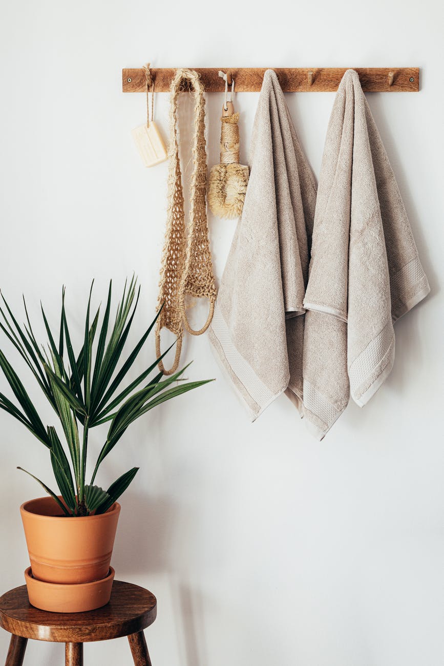 green potted plant in minimalistic bathroom with body care tools