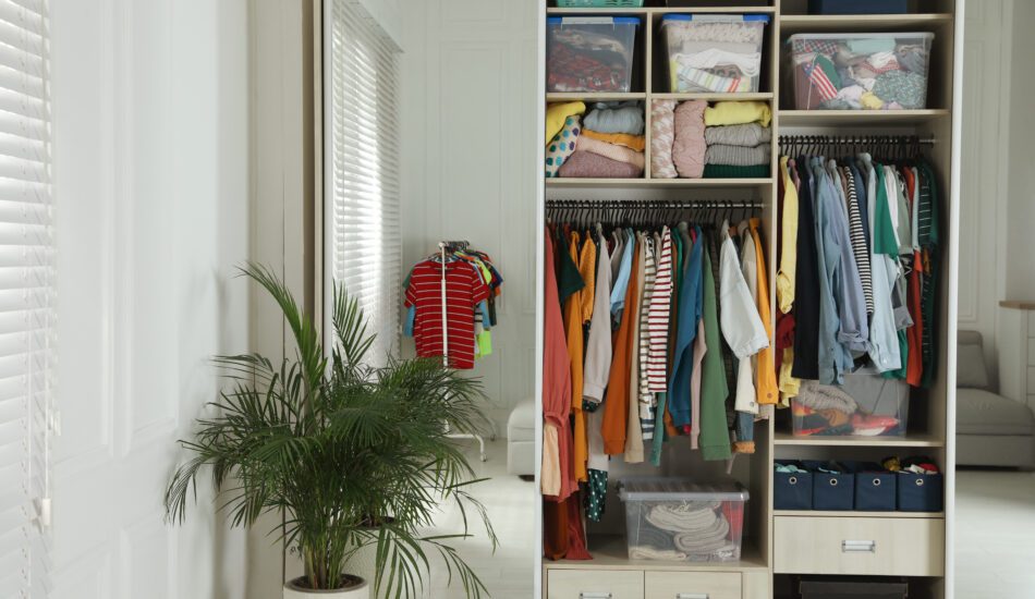 How to Organize a Small Closet for Two: 11 Space Maximizing Ideas